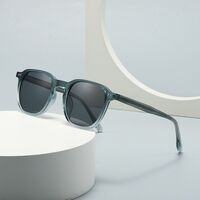 Пластиковые поляризационные солнцезащитные очки в круглой оправе Elit 10036-EL