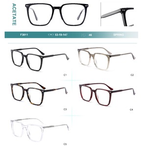 Acetate plastic frames for glasses with spring hinges Big City F3011