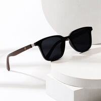 Plastic polarized sunglasses Elit ZT-10060-EL
