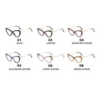 Combined (metal + TR90) glasses with blue light protection TR5040-PN