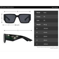 Plastic polarized sunglasses Elit 9141-EL