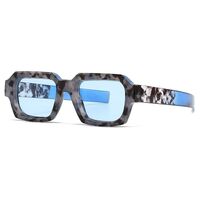 Plastic retro sunglasses Elit 2784-EL