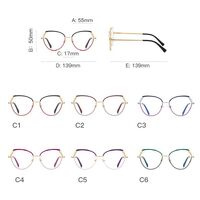 Metal Blue Blocker frames for glasses MORE FCS3109
