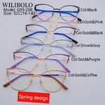 Оправа металлическая ультратонкая, с флексом Wilibolo G95-208