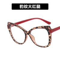Plastic TR90 glasses with blue light protection for women 5003-PN