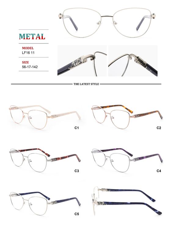 Metal frames for glasses with spring hinges Big City LF1611