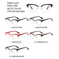 Очки защитные из ацетата с антибликовым покрытием LD0606