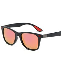 Polarized plastic TR90 sunglasses with UV400 protection 4195-GT