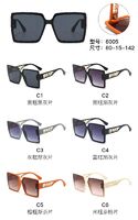 PC plastic sunglasses with metal hinge 6005W