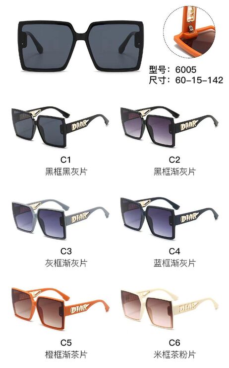 PC plastic sunglasses with metal hinge 6005W