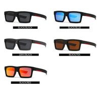 Пластиковые поляризационные мужские солнцезащитные очки в квадратной оправе Elit SPS02ZUS-EL