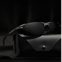 Polarized metal sunglasses with UV400 protection PC8177-GT