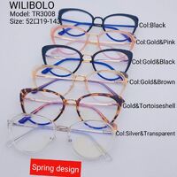 Metal +TR90 ultrathin frames with flex hinges Wilibolo TR3008