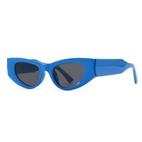 Plastic cat-eye sunglasses for women Elit 9154-EL