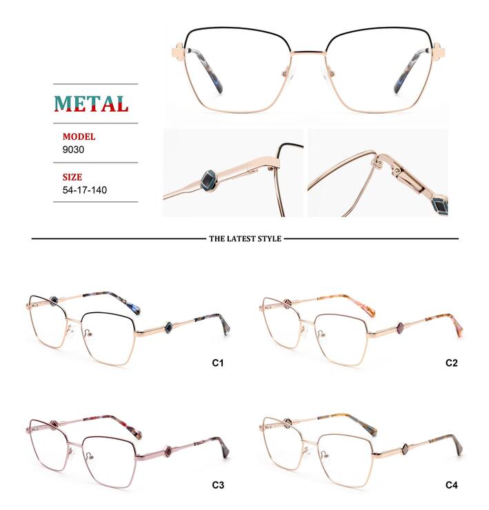 Metal frames for glasses with spring hinges Big City RD9030