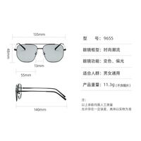 Photochromic glasses with blue light and UV protection 9655-2-GT