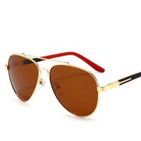 Polarized metal sunglasses with UV400 protection 2923-GT