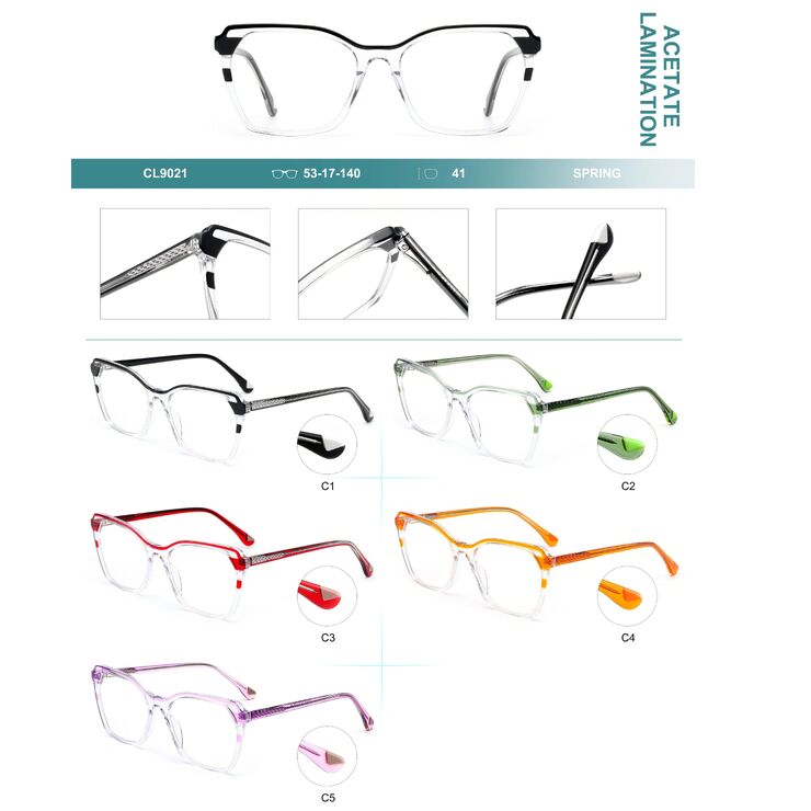 Plastic frames for glasses, acetate lamination with spring hinges Big City CL9021