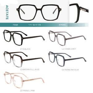Acetate plastic frames for glasses with spring hinges Big City F3026
