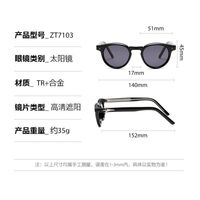 Plastic + metal sunglasses for men Elit ZT7103-EL
