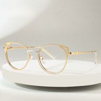 Очки металлические с защитой от синего света 9748-GT