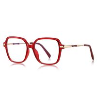 Plastic TR90 + metal frames for glasses with Blue Ray Cut protection and flex hinges FOCUS FCS2211