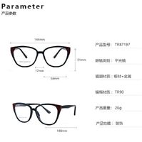 TR90 plastic frame or glasses with blue light protection, with spring hinges FA87197