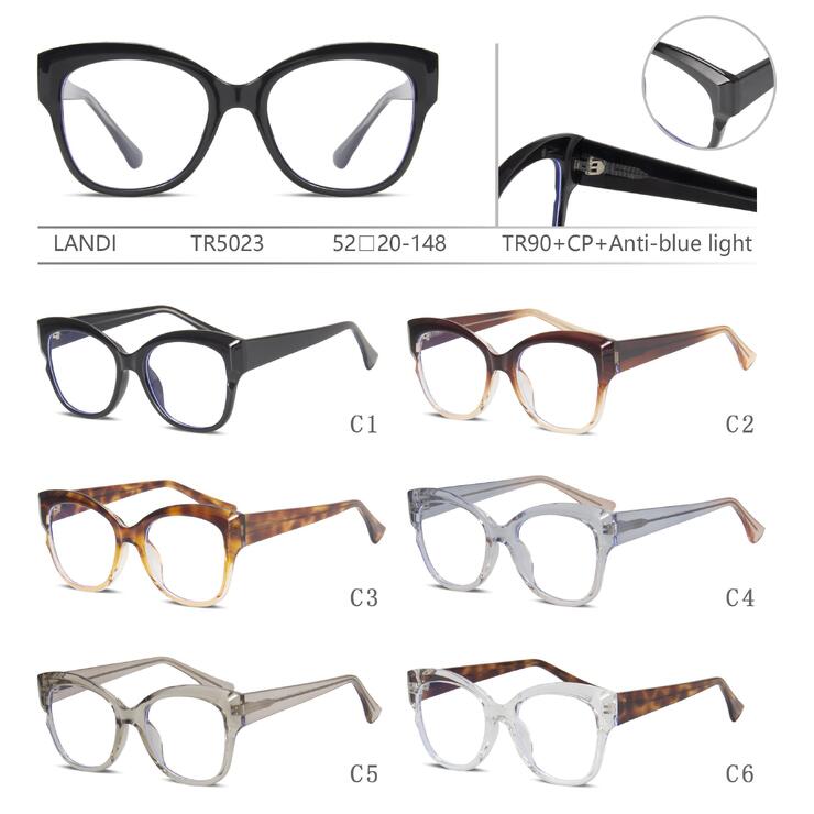 Protective plastic TR90+CP glasses with anti-blue light lenses Landi LD-TR5023