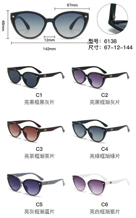 PC plastic sunglasses with metal hinge 6138W