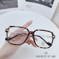 Hybrid frame, metal + TR90, with Blue Block coating SANTA 01119