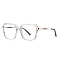 Plastic TR90 + metal frames for glasses with Blue Ray Cut protection and flex hinges FOCUS FCS2212