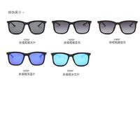 Polarized sunglasses T602