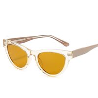 Polarized plastic TR90 sunglasses with UV400 protection 6012-GT