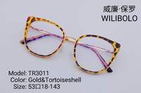 Metal +TR90 ultrathin frames with flex hinges Wilibolo TR3011