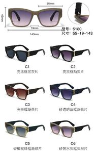 PC plastic sunglasses with metal hinge 5180W