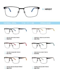 Металлическая оправа с дужками из материала TR-90 со встроенным флексом MR1017