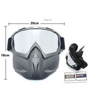 Safety shockproof sports goggles - mask 风镜-鹰嘴面罩转印