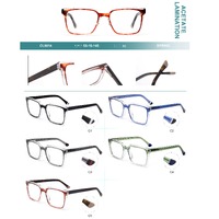Plastic frames for glasses, acetate lamination with spring hinges Big City CL9014