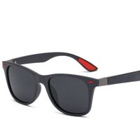 Polarized plastic TR90 sunglasses with UV400 protection 4195-GT