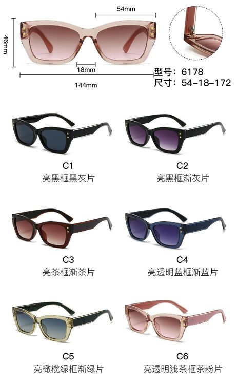 PC plastic sunglasses with metal hinge 6178W