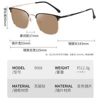 Очки металлические фотохромные с защитой от синего света 9668-GT