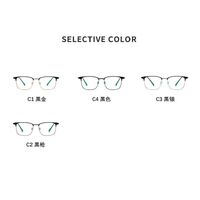 Оправа титановая SANTA T9010