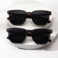 Plastic polarized sunglasses Elit ZT-10057-EL