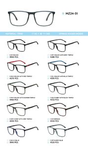 TR-90 plastic frames for glasses, with spring hinges MZ24-31