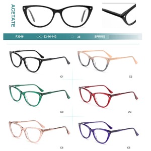Acetate plastic frames for glasses with spring hinges Big City F3046