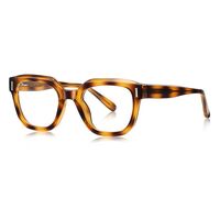 Plastic TR90 frame for glasses with UV protection and spring hinges More LS009