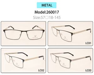 Metal eyeglasses frame for men with spring hinges 260017 (item in stock)
