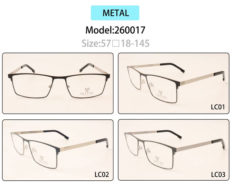 Metal eyeglasses frame for men with spring hinges 260017 (item in stock)