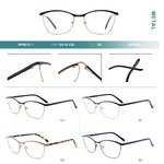 Metal frames for glasses with spring hinges Big City RP9015-1
