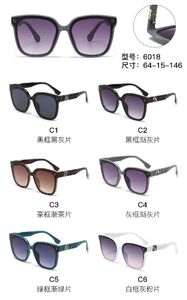 PC plastic sunglasses with metal hinge 6018W